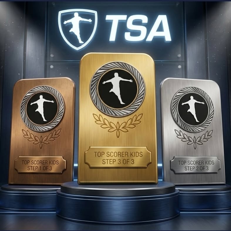 TSA teknikmærker – bronze, sølv og guld
